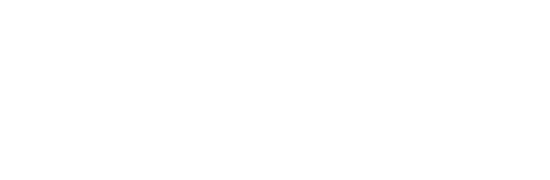Бесплатные курсы чешского языка Logo